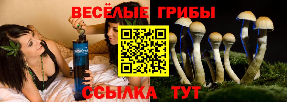 Кудрово  Галлюциногенные грибы ЛСД  Галлюциногенные грибы GOLDEN TEACHER  Вход с VPN 